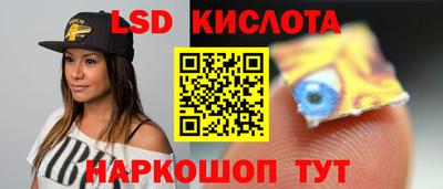амф Кандалакша